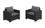 California Armchair x2 - Grey